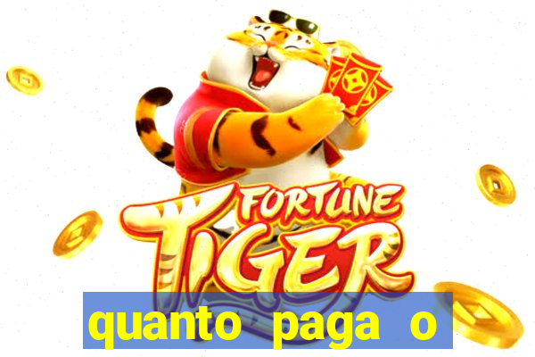 quanto paga o jungle fight